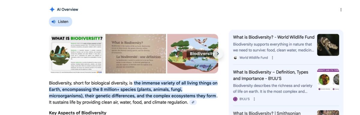 AI搜索内容格式指南：11种主导人工智能搜索的内容类型与优化策略