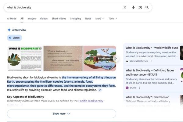 AI搜索内容格式指南：11种主导人工智能搜索的内容类型与优化策略