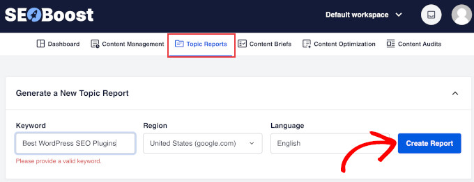 SEOBoost 主题报告