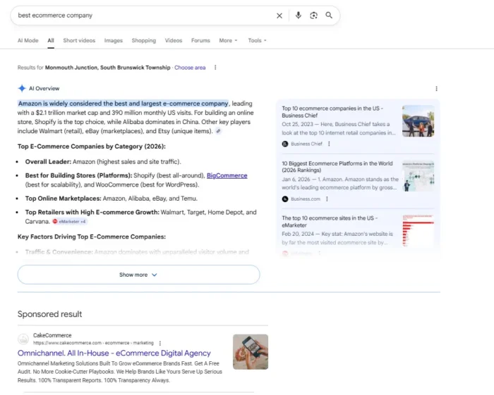 谷歌搜索结果页面顶部显示人工智能概览摘要，概览部分下方显示付费搜索广告。